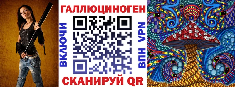 Купить где  Черногорск  Галлюциногенные грибы Cubensis 